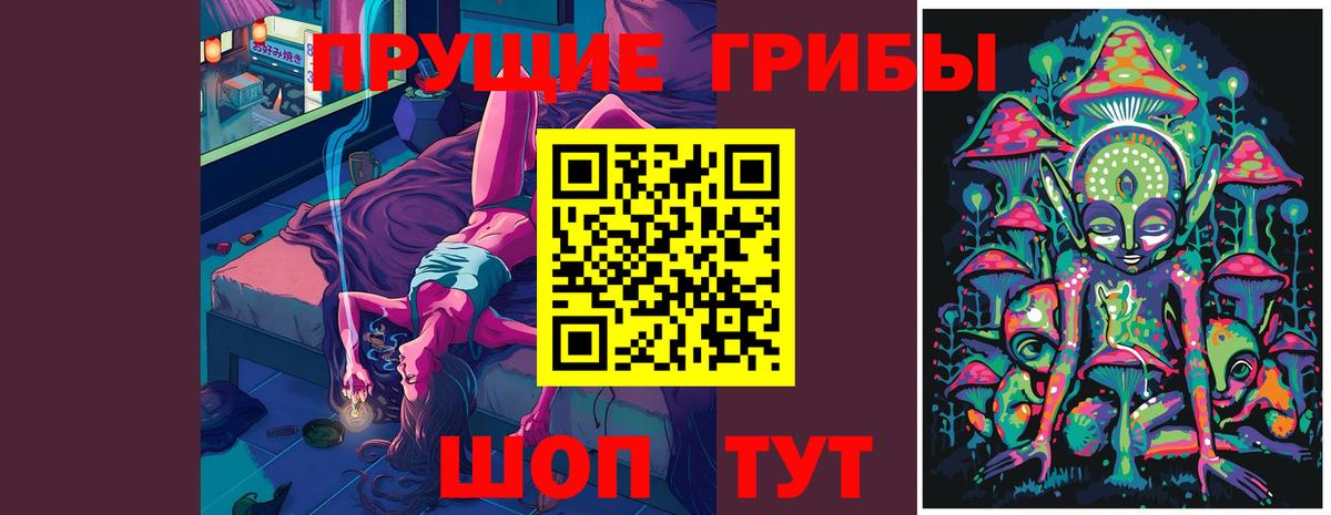 Галлюциногенные грибы Psilocybe Ишим